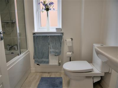 Picture 17